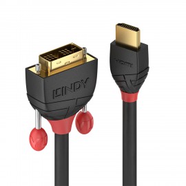 Lindy 36272 adaptador de cable de vídeo 2 m HDMI tipo A (Estándar) DVI-D Negro