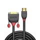 Lindy 36272 adaptador de cable de vídeo 2 m HDMI tipo A (Estándar) DVI-D Negro