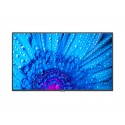 NEC MultiSync M491 Pantalla plana para señalización digital 124,5 cm (49'') IPS 4K Ultra HD Negro - 60005051