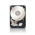 Seagate 2TB ST2000DM001