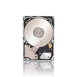 Seagate Constellation 2TB ST91000640SS