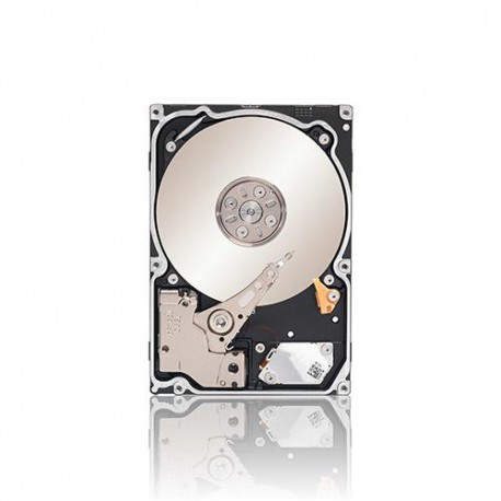 Seagate Constellation 2TB ST91000640SS