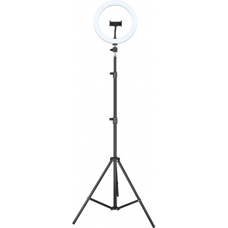iggual Kit Anillo luz LED 10'' + Trípode 200 cm - IGG317242+IGG317235