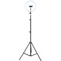 iggual Kit Anillo luz LED 10'' + Trípode 200 cm - IGG317242+IGG317235