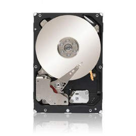 Seagate Constellation 1TB ST1000NM0023