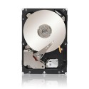 Seagate Constellation 1TB ST1000NM0023