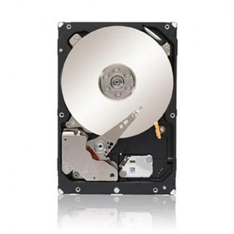 Seagate Constellation 1TB ST1000NM0033