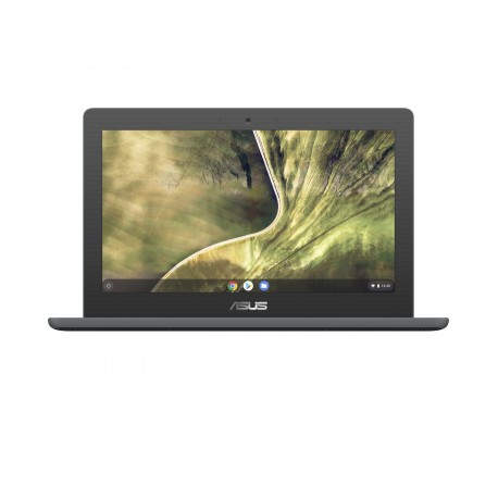 ASUS Chromebook C204MA-GJ0342 - Portátil 11.6'' HD (Celeron N4020