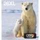 Epson Polar bear Multipack 4-colours 26XL EasyMail - C13T26364511