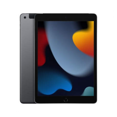Apple iPad 4G LTE 256 GB 25,9 cm (10.2'') Wi-Fi 5 (802.11ac) iPadOS 15 Gris - mk4e3ty/a