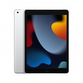 Apple iPad 4G LTE 256 GB 25,9 cm (10.2'') Wi-Fi 5 (802.11ac) iPadOS 15 Plata - mk4h3ty/a