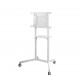 Neomounts by Newstar Soporte de suelo móvil para TV - NS-M1250WHITE