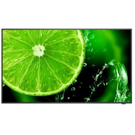 NEC MultiSync E498 124,5 cm (49'') IPS 4K Ultra HD Negro - 60005052