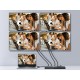 Equip 332717 divisor de video HDMI 4x HDMI