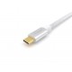 Equip 128355 cable USB 0,5 m USB 3.2 Gen 2 (3.1 Gen 2) USB C Plata, Blanco