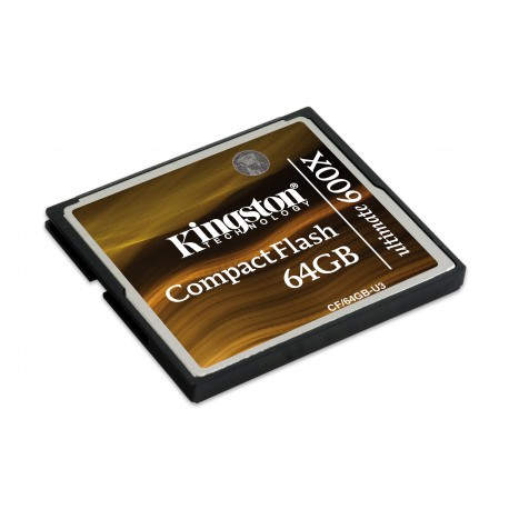 Kingston Technology 64GB EXT 600X