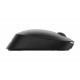 Philips SPK7307B/00 ratón Ambidextro RF inalámbrico Óptico 1600 DPI