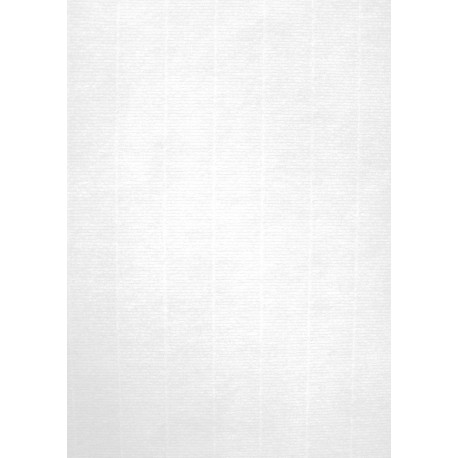APLI 12368 papel para impresora de inyección de tinta A4 (210x297 mm) 100 hojas Blanco