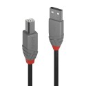 Lindy 36671 cable USB 0,5 m USB 2.0 USB A USB B Negro, Gris