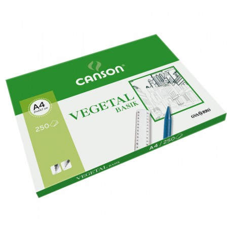 Canson C200406219 papel decorativo Arte de papel 250 hojas
