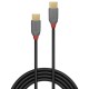 Lindy 36871 cable USB 1 m USB 2.0 USB C Negro, Gris