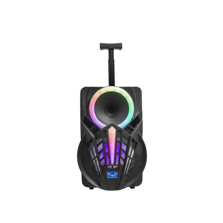 Denver TSP-301 sistema de megafonía Sistema de megafonía con ruedas 12 W Negro