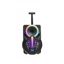 Denver TSP-301 sistema de megafonía Sistema de megafonía con ruedas 12 W Negro