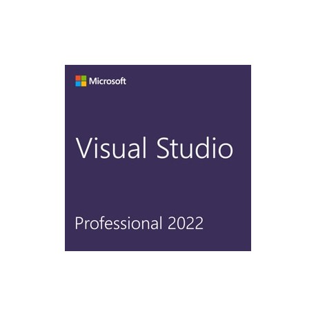 Microsoft Visual Studio Professional 2022 1 licencia(s)