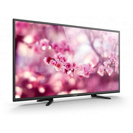 Engel Axil LE4060T2 Televisor 101,6 cm (40'') Full HD Negro