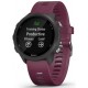 Garmin 010-02120-11 Relojes inteligentes y deportivos 3,05 cm (1.2'') 30 mm MIP Negro GPS (satélite)
