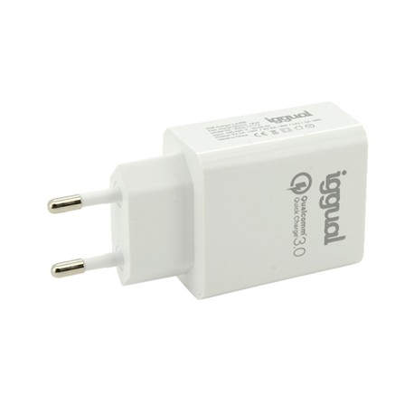 iggual Cargador 1xUSB carga rápida QC3.0 18W - IGG317174