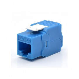 WP WPC-KEY-6AUP-TL/B módulo de conector de red