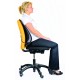 Fellowes Cojín Lumbar Mesh Office Suites