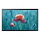 Samsung QB24R-B Pantalla plana para señalización digital 60,5 cm (23.8'') LCD Wifi Full HD Negro - LH24QBRBBGCXEN?NL