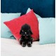 Star Wars GXB23 juguete de peluche
