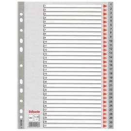 Esselte Plastic indexes - 100108