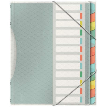 Esselte 626256 lengüeta de índice Separador en blanco con pestaña Polipropileno (PP) Multicolor