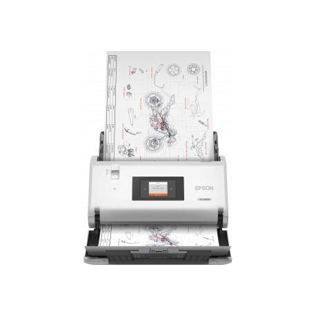 Epson WorkForce DS-30000 ‎ 600 x 600 DPI Escáner alimentado con hojas Blanco A3