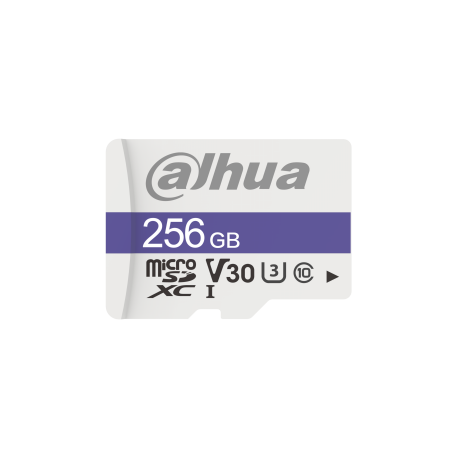 Dahua Technology C100 256 GB MicroSDXC UHS Clase 10