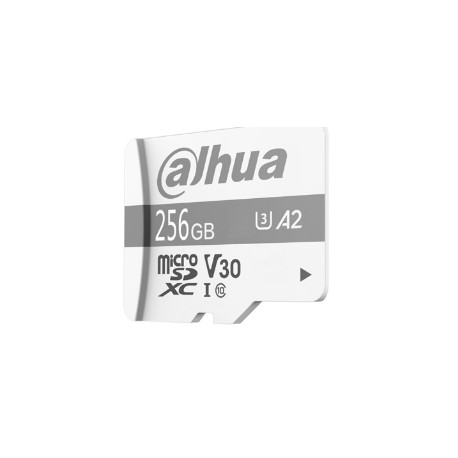 Dahua Technology P100 64 GB MicroSD UHS-I Clase 10