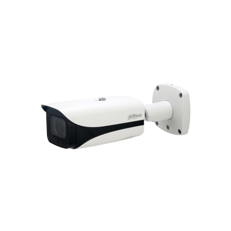 Dahua Technology WizMind DH-IPC-HFW5241EP-Z12E cámara de vigilancia Esférico
