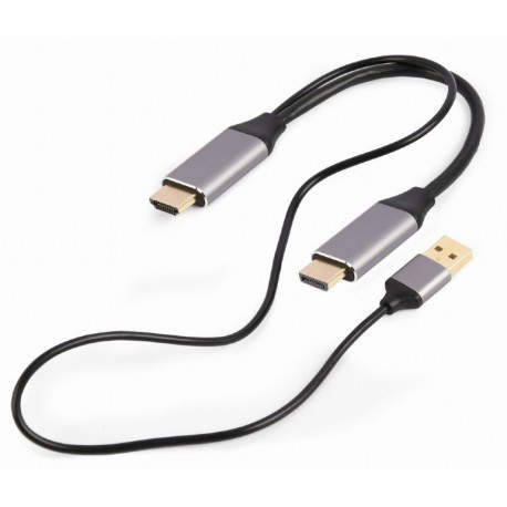 Gembird A-HDMIM-DPM-01 adaptador de cable de vídeo 2 m HDMI tipo A (Estándar) DisplayPort Negro