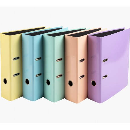 Exacompta 53560E carpeta Cartón Colores surtidos A4