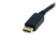 StarTech DP2DVI2MM6