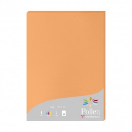 Clairefontaine Pollen papel para impresora de inyección de tinta A4 (210x297 mm) 25 hojas Naranja