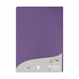 Clairefontaine Pollen papel para impresora de inyección de tinta A4 (210x297 mm) 25 hojas Púrpura