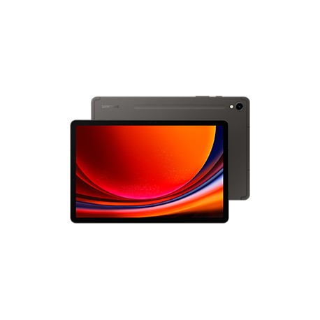 Samsung Galaxy Tab S9 SM-X710N 256 GB 27,9 cm (11'') Qualcomm Snapdragon 12 GB Wi-Fi 6 (802.11ax) Android 13 Grafito