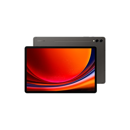 Samsung Galaxy Tab S9+ SM-X810N 256 GB 31,5 cm (12.4'') Qualcomm Snapdragon 12 GB Wi-Fi 6 (802.11ax) Android 13 Grafito