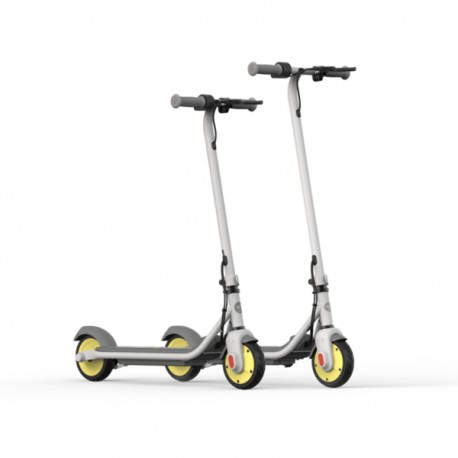Ninebot by Segway Zing C10 16 kmh Gris 2,5 Ah