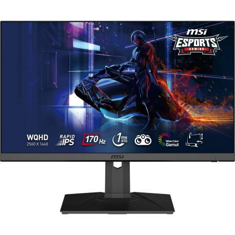 MSI G272QPF pantalla para PC 68,6 cm (27'') 2560 x 1440 Pixeles Wide Quad HD Negro